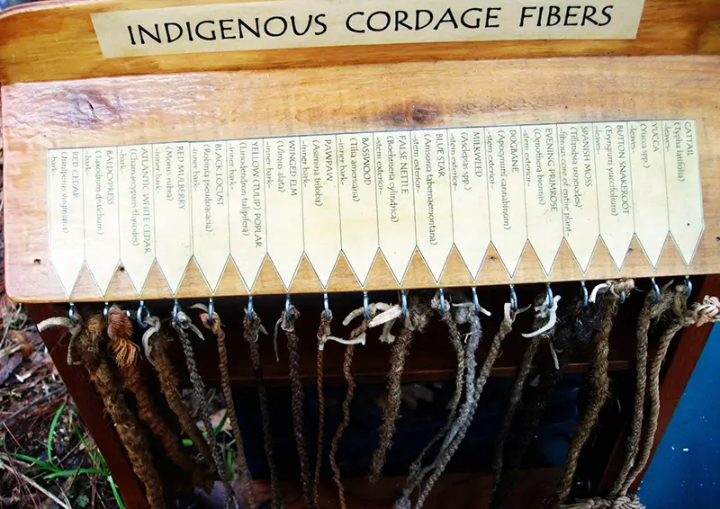 special display showing different types of cordage and fibers