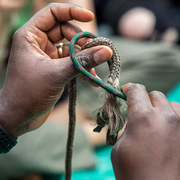 Survival Knots